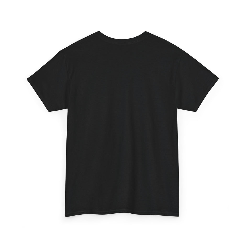 Black unisex heavy cotton T-shirt in GEOMETRIC FLOW product photo